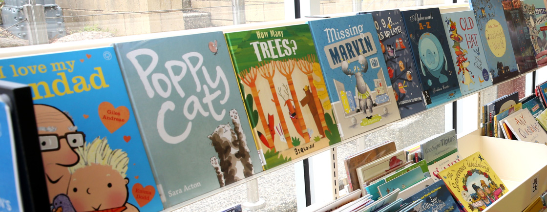 Rows of neat picture books on a shelf