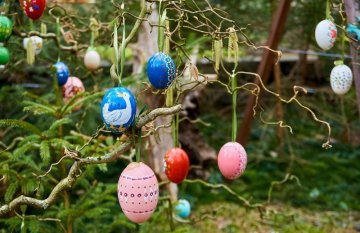 Photo of brightly painted Easter eggs hanging from a tree